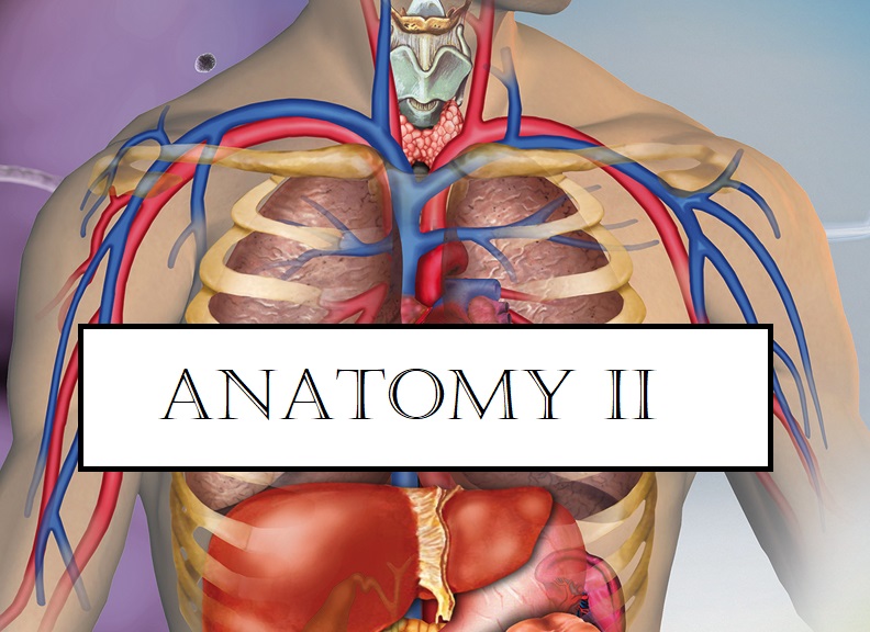 BIOL 205 Part II